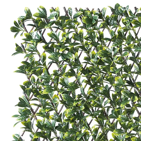 images/categories_images/thumbs/thumb_Green Pergola 2025a.webp